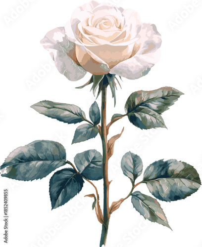 Elegant White Rose with Green Leaves