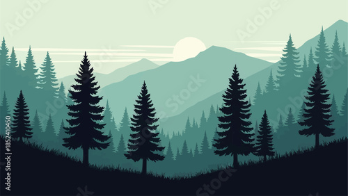 Silhouetted Pine Trees in Landscape.