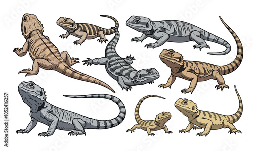 Vibrant lizards in various poses on transparent background