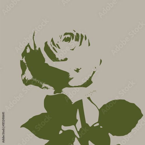 Minimalist Green and White Rose Illustration with Abstract Style