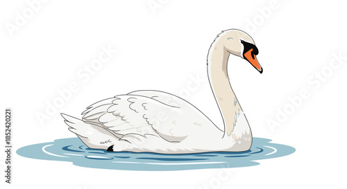 An elegant and graceful white mute swan swimming peacefully in the calm blue water of a lake or pond on a clear day.