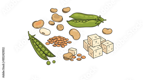 Hand-drawn illustration showing a variety of plant-based protein sources like tofu, lentils, peas, and different types of beans.