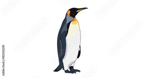 Realistic and detailed illustration of a majestic emperor penguin standing tall and proud in a classic pose on a white background.