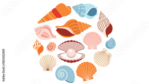 Colorful collection of various seashells, including a clam with a pearl, arranged in a circular design on a white background.