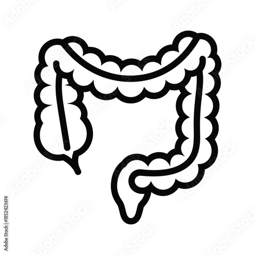 Human colon anatomy outline vector illustration