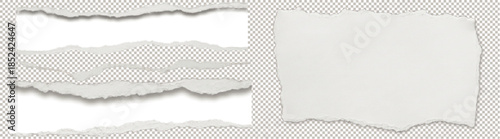 Realistic Torn Paper Pieces and Ripped Edges on a Transparent Background PNG for Design Elements.