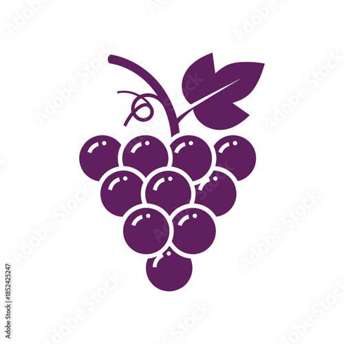 Elegant Purple Grape Cluster with Leaf and Stem.