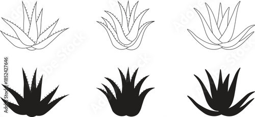 Aloe Vera Plant Silhouette and Outline Vector Set. Succulent Graphic Illustration