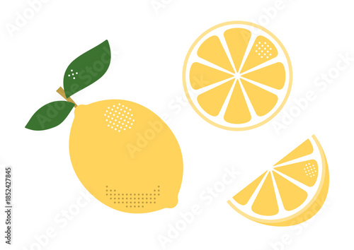 レモンと断面のイラスト素材