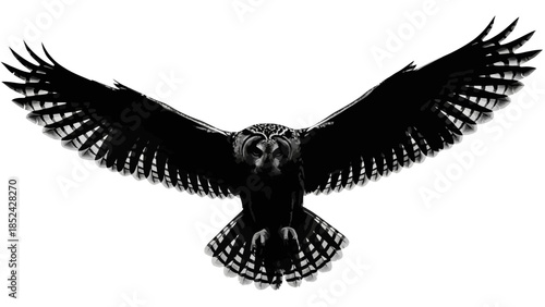 Dramatic black and white image of an owl in flight with fully extended wings portraying power and