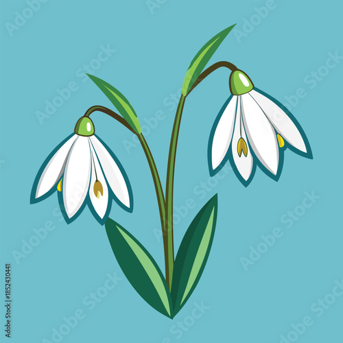 Snowdrop Flower Illustration