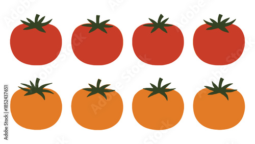 A vibrant collection of ripe red and orange tomatoes arranged in two rows, ready for harvest.