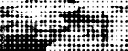 Lilium orientalis (Stargazer), flowers. Halftone with dots