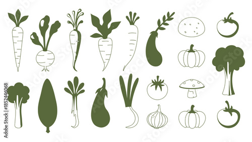 Vibrant collection of fresh organic vegetables and produce in a clean, simple illustration style.