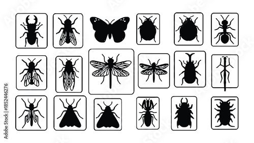 Collection of stylized insect illustrations in simple graphic icons