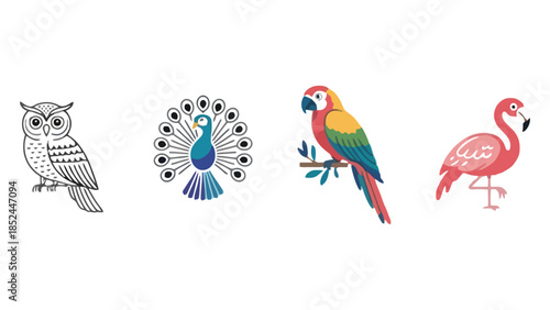 Diverse collection of colorful and stylized birds, including an owl, peacock, parrot, and flamingo.