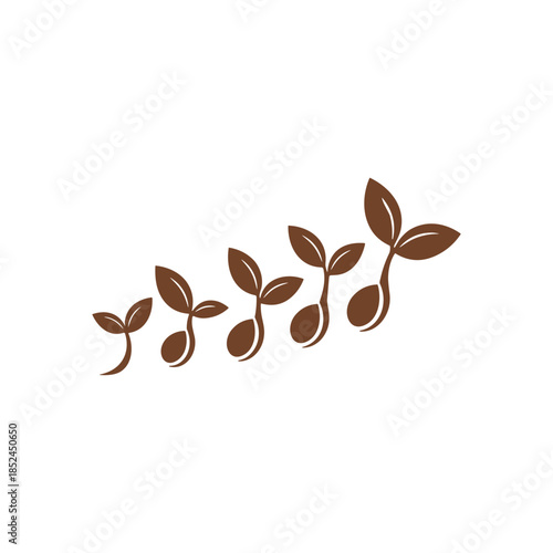 Growing plant seeds in stages representing growth and development.