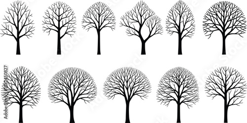 Bare tree silhouettes set, leafless winter trees collection, black vector illustrations, natural forest shapes, isolated on white background