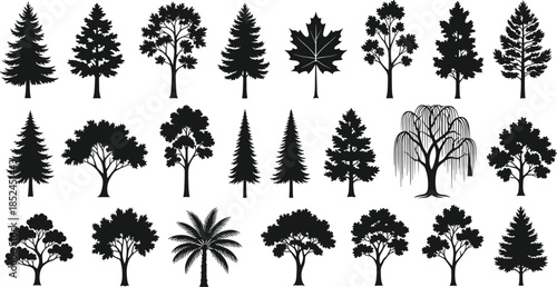 Tree silhouettes mega set, deciduous forest collection, black vector illustrations, detailed natural tree shapes, isolated on white background