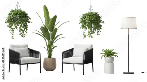 Modern furniture and plants isolated on transparent background