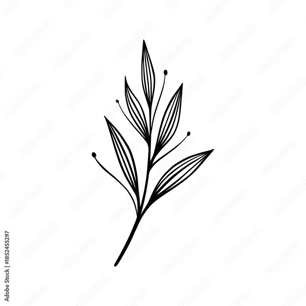 Obraz premium Illustration vector leaf