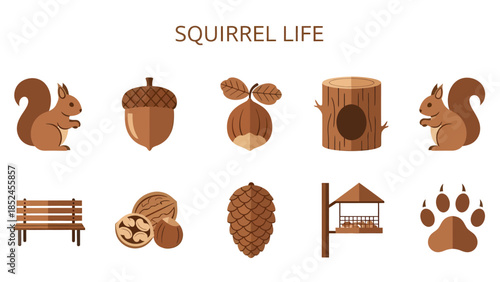 Brown vector icons related to squirrel life including squirrels nuts tree stump and paw print