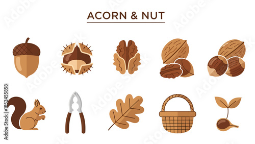 Brown illustrations of an acorn nuts squirrel nutcracker leaf basket and sprout