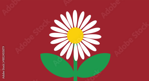Simple flat design illustration of a single white daisy flower with a yellow center and green leaves against a solid red background.