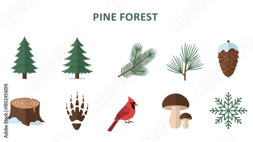 Collection of flat design vector icons representing elements of a pine forest ecosystem