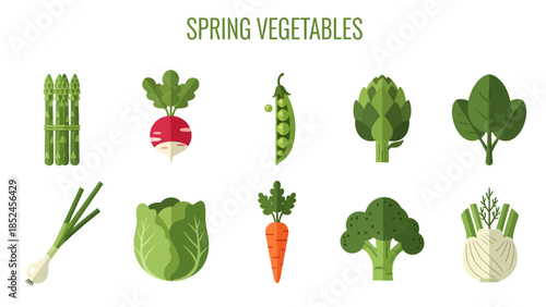 Flat vector illustration of ten types of spring vegetables against a white background