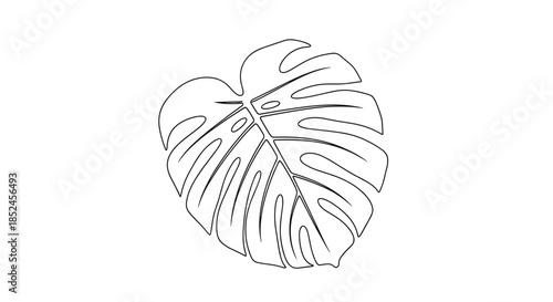 A simple black and white line art illustration of a tropical monstera deliciosa leaf for a minimalist and modern design on a white background.