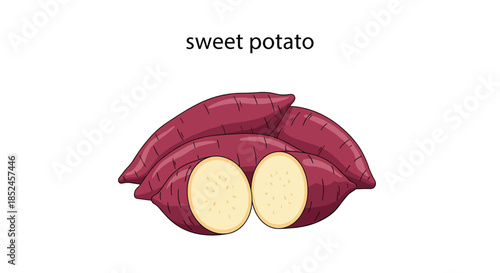 A pile of sweet potatoes, some whole and some cut in half to show their light yellow flesh, against a white background.