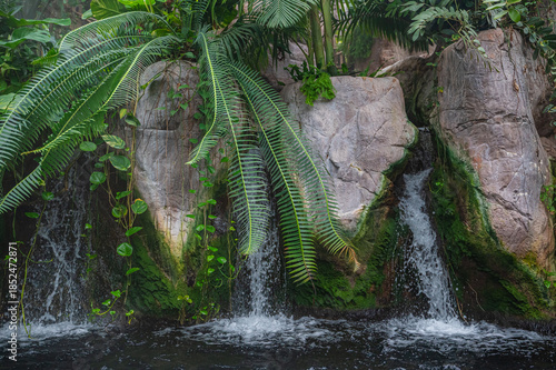 A gentle stream carving its path, Audubon Aquarium, New Orleans, Louisiana, United States of America
