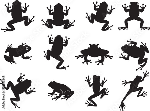Frog Silhouette Collection  Jumping, Climbing & Crouching Frogs for Wildlife & Nature Design