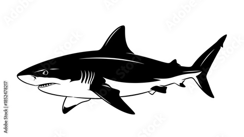 Black and White Illustration of a Great White Shark.