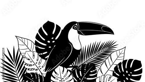 Black and White Toucan Bird Illustration with Tropical Leaves.