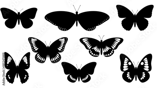 Collection of various butterfly silhouettes in black and white.