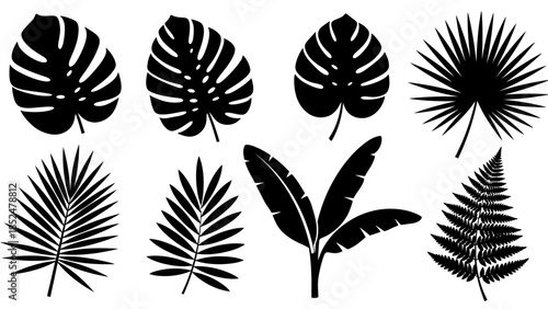 Collection of Tropical Plant Leaves Silhouettes Vector Illustration.
