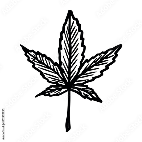 Hand drawn cannabis leaf Medicine marijuana Hemp leaves clipart in doodle style Single element for print, web, design, decor