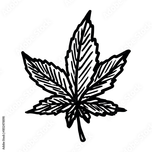 Hand drawn cannabis leaf Medicine marijuana Hemp leaves clipart in doodle style Single element for print, web, design, decor