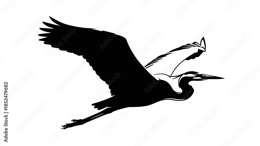 Fototapeta premium Graceful Heron in Flight Silhouette Against White Background.