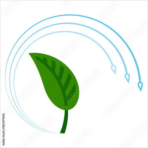 Leaf Icon Y_2301001