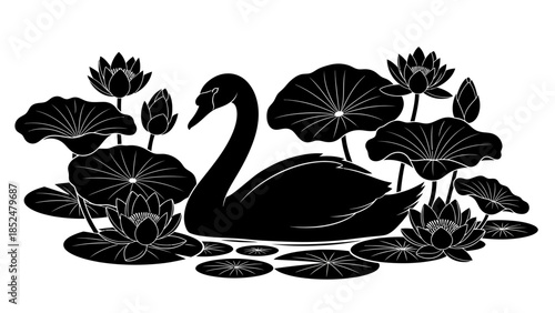 Graceful black swan swimming amidst serene lotus flowers.
