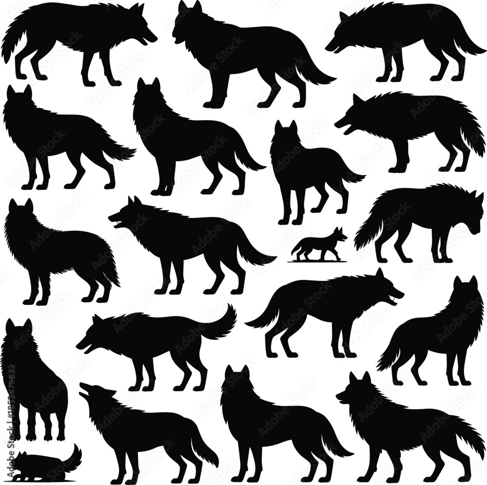 Obraz premium Black silhouettes of wolves in various poses on white background 1