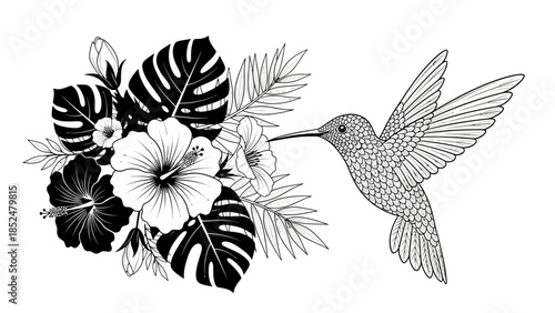 Hummingbird and Tropical Flowers Black and White Illustration.