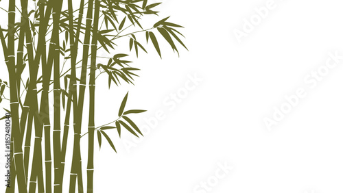 Lush green bamboo stalks and leaves on a white background.