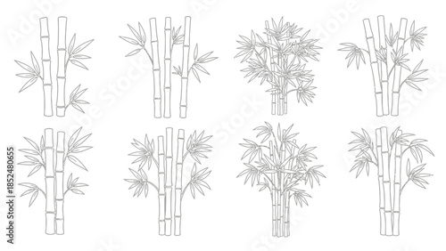 Set of Hand-Drawn Bamboo Plants and Stems with Leaves.