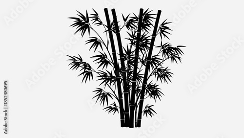 Silhouette of a bamboo grove with lush leaves and tall stalks.