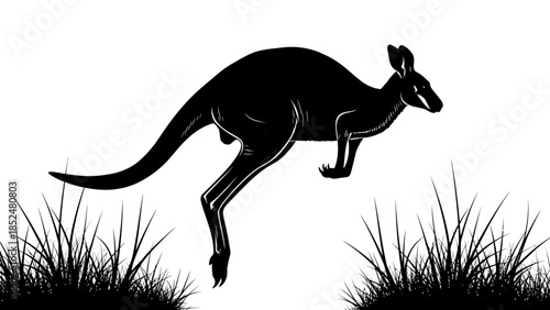 Silhouette of a kangaroo jumping in the wild.