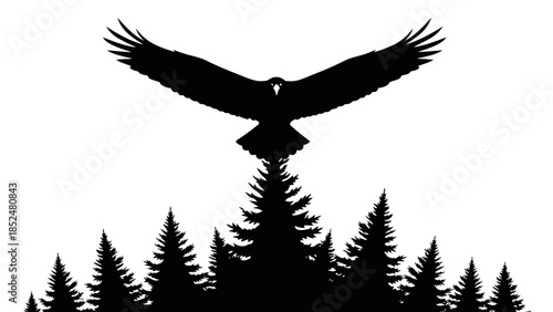 Silhouette of a majestic eagle soaring above a dense forest canopy.